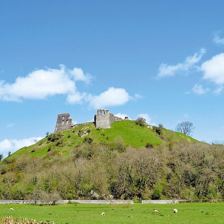 Wren Cottage Llandeilo Dış mekan fotoğraf