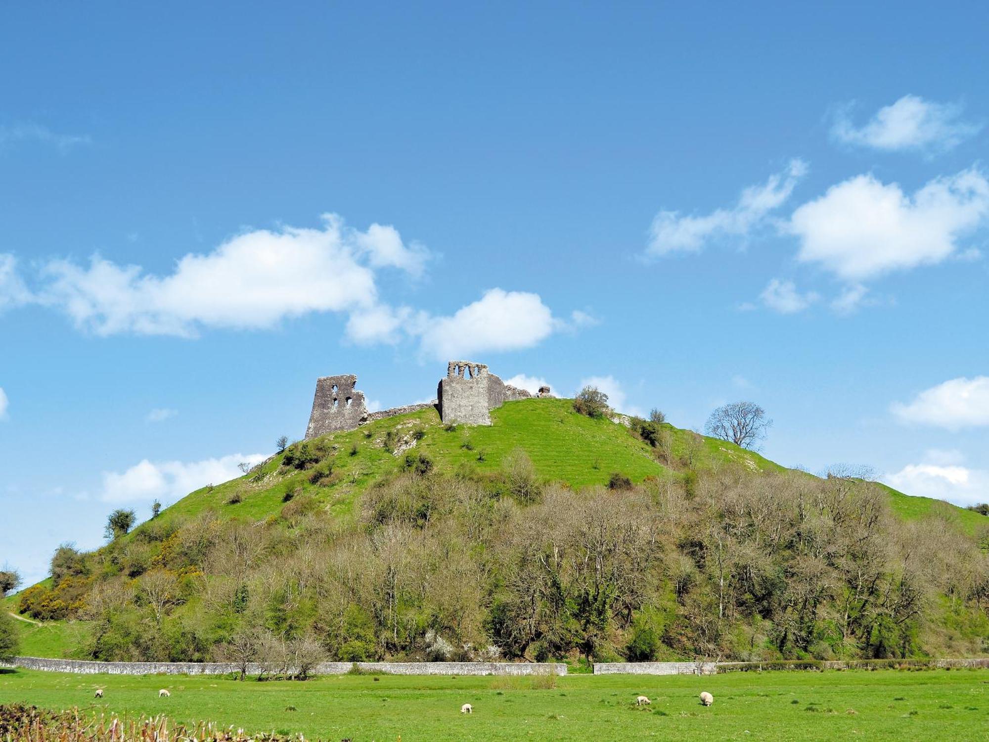 Wren Cottage Llandeilo Dış mekan fotoğraf